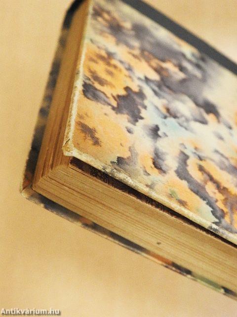 A monsoreaui hölgy bosszúja