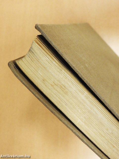 Magyar festőművészet