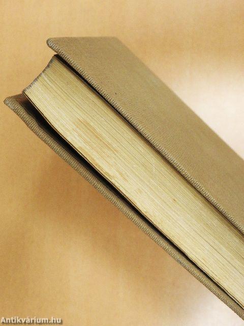 Magyar festőművészet