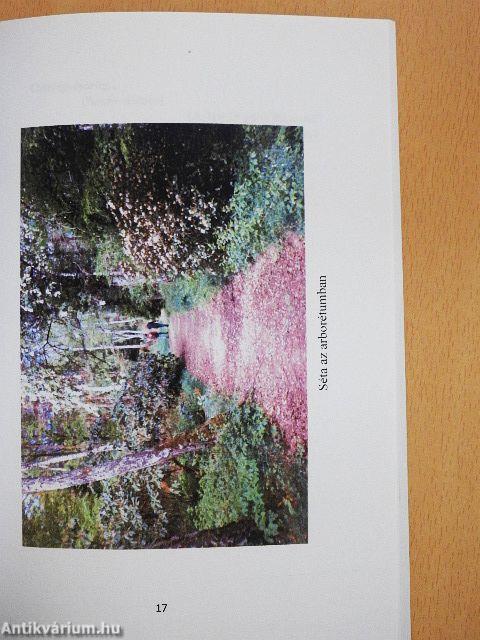 Egy tanár regöséneke