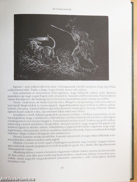 Münchhausen báró kalandjai/Lúdanyó meséi