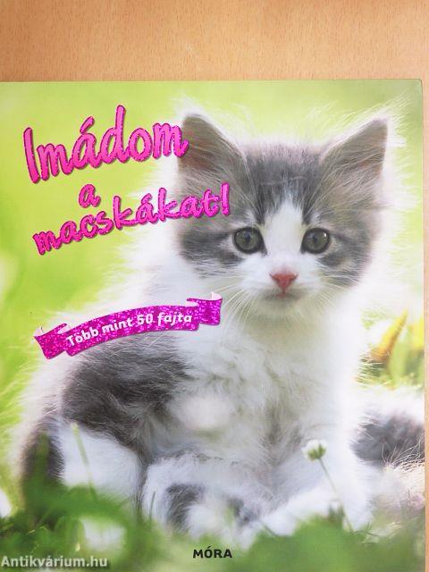 Imádom a macskákat!