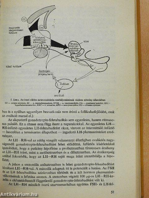A nőivarú állatok szaporodásbiológiája