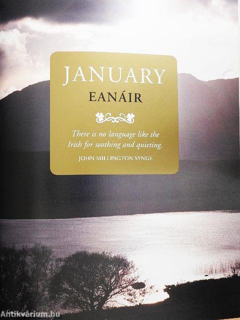 The Irish Birthday Book