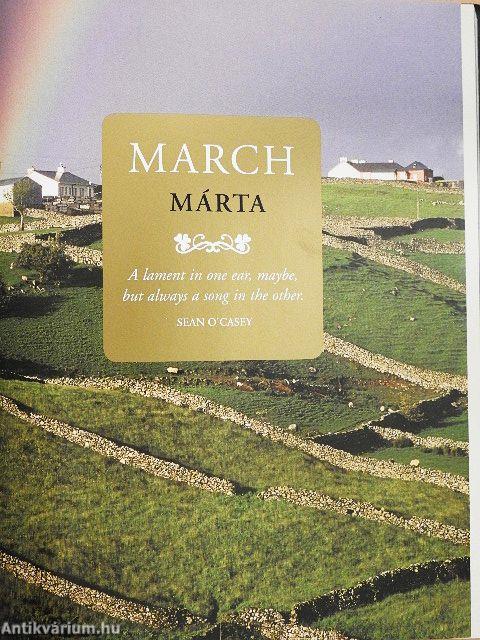 The Irish Birthday Book