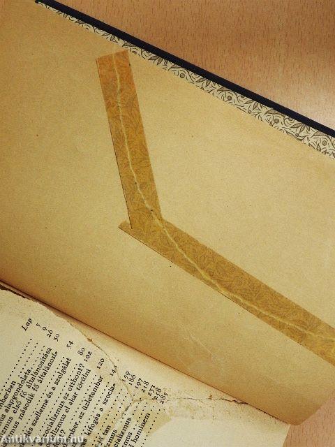 Új világ a régi helyén