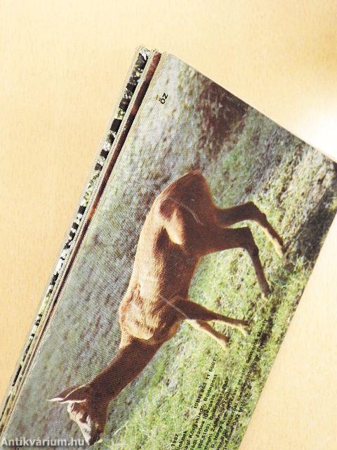 Erdők, mezők vadjai