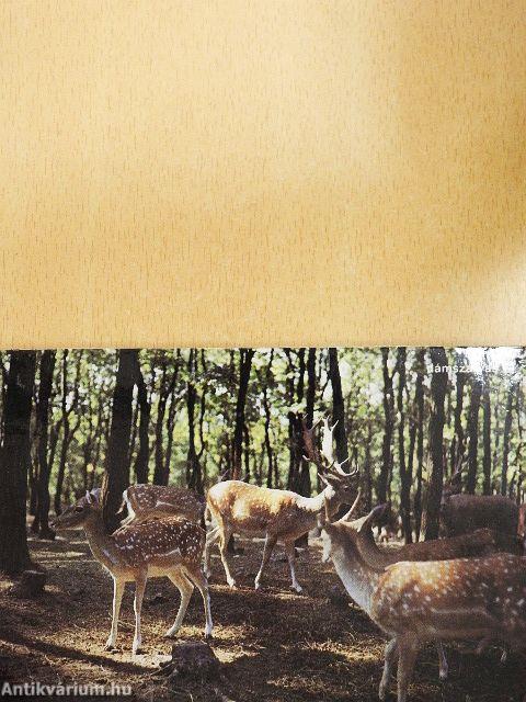 Erdők, mezők vadjai