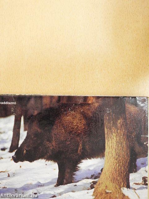 Erdők, mezők vadjai