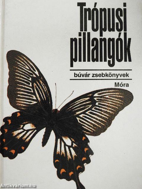Trópusi pillangók