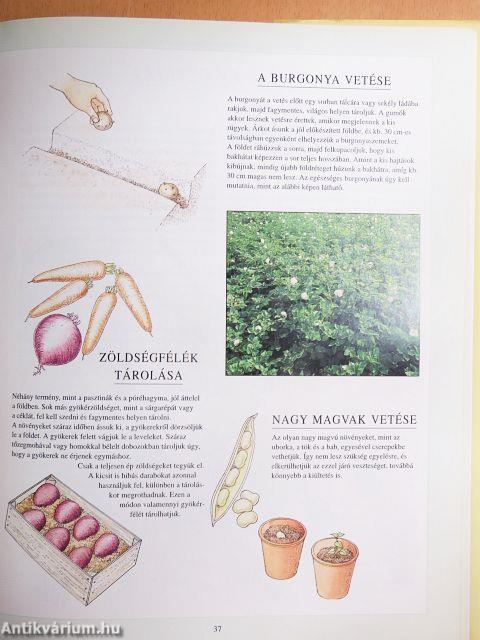 Egészséges kerti növények