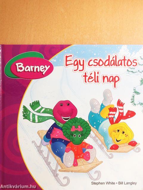 Egy csodálatos téli nap