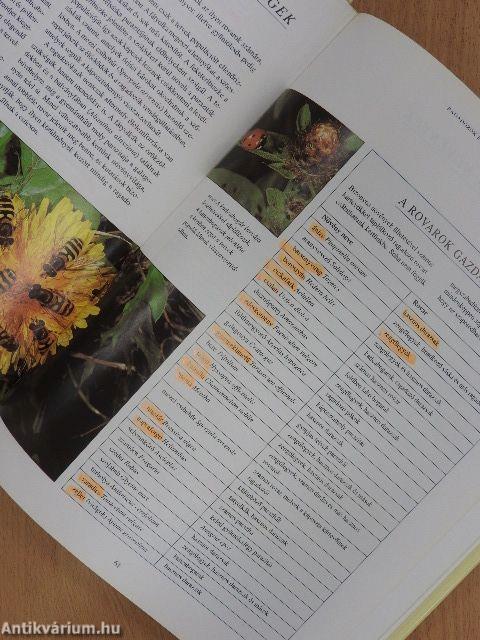 Egészséges kerti növények