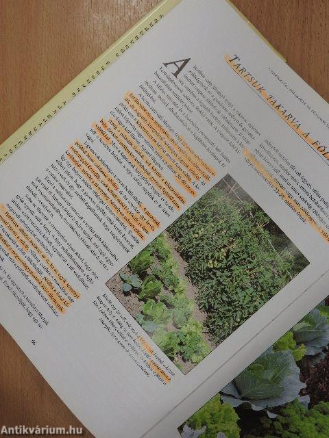 Egészséges kerti növények