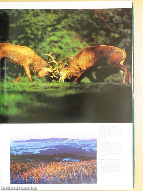 A világ legszebb nemzeti parkjai