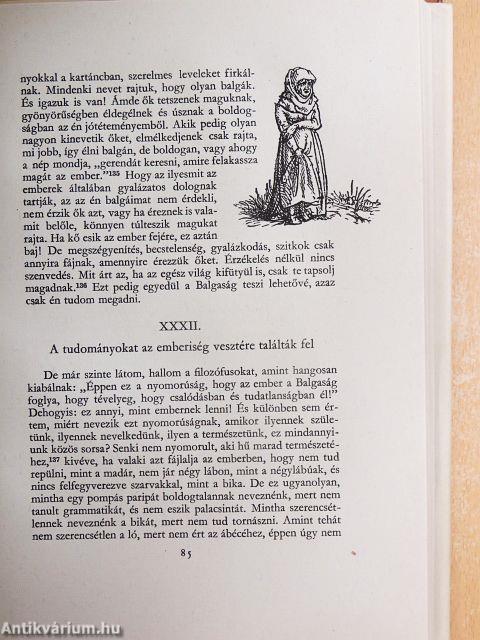 A Balgaság Dicsérete