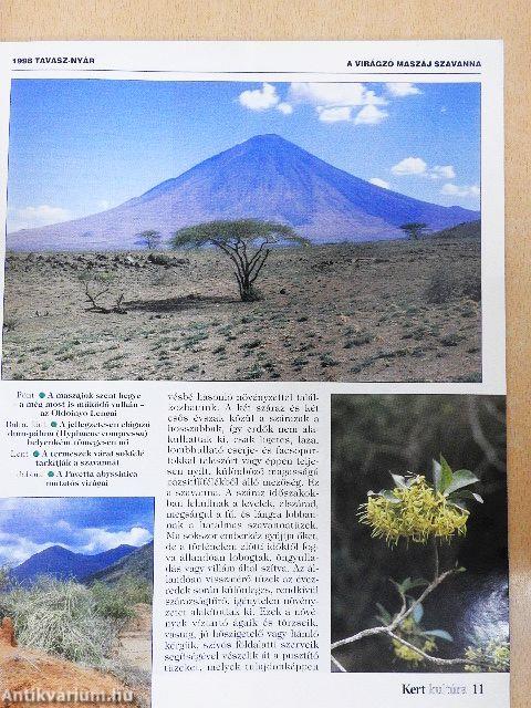 Kert-kultúra 1998. tavasz-nyár