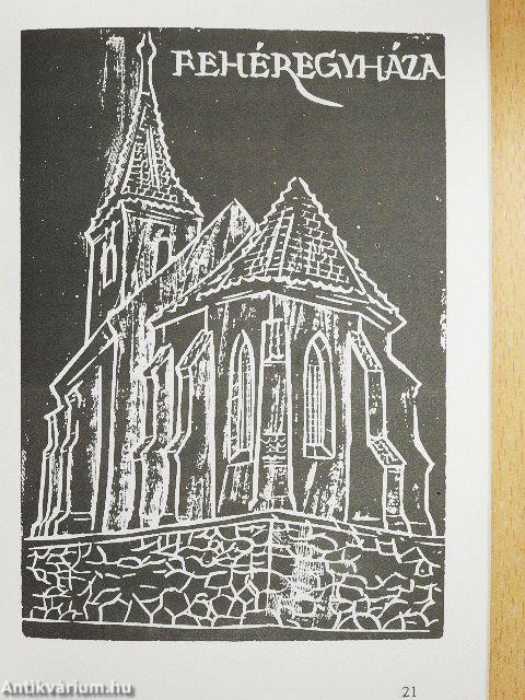 Kárpát-medencei gondok 1.