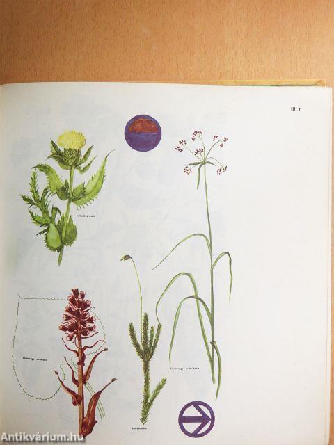 Természetjárók enciklopédiája