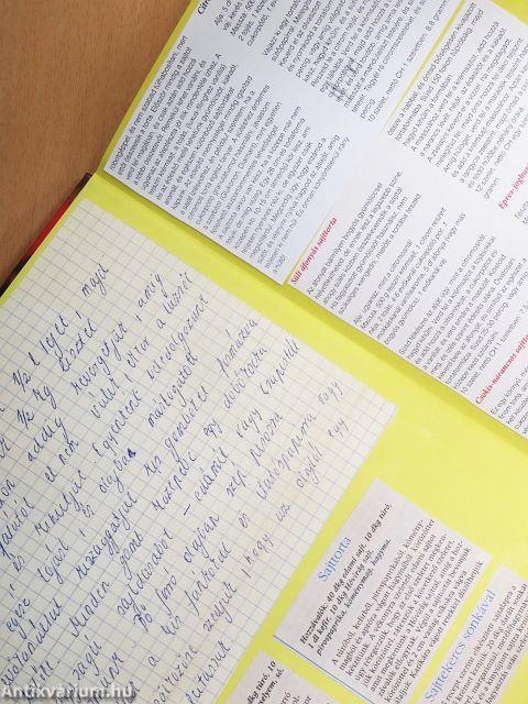 99 sajt- és tojásétel 33 színes ételfotóval