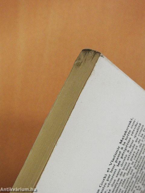 Intelligentsia et révolution