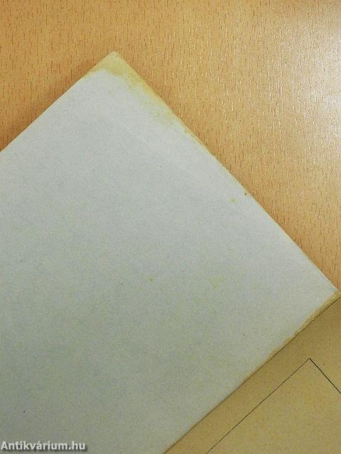 Magyar nyelvvédő könyv