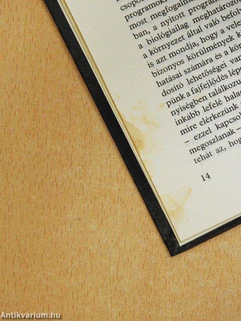 A halál egészen más...?