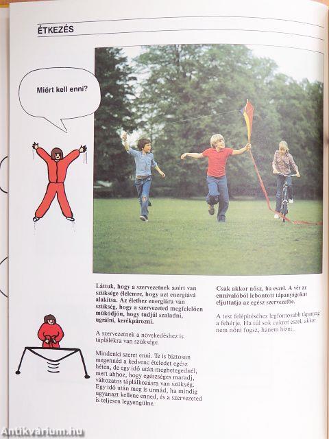 Az emberi test csodája