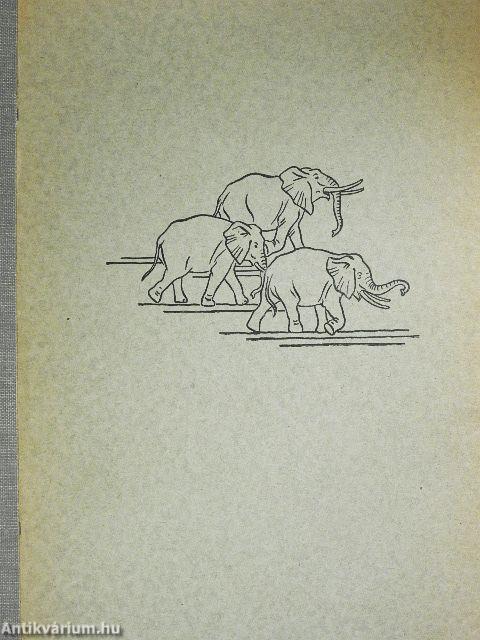 Tierparadies Afrika (gótbetűs)