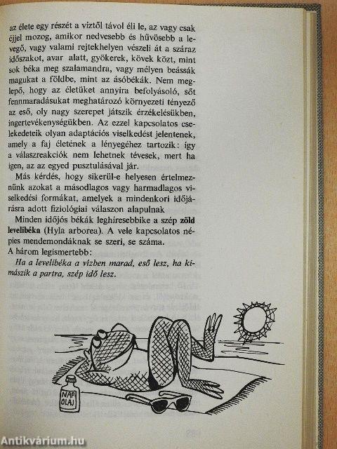 Időjós élővilág