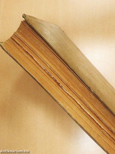 A katolikus Egyház története