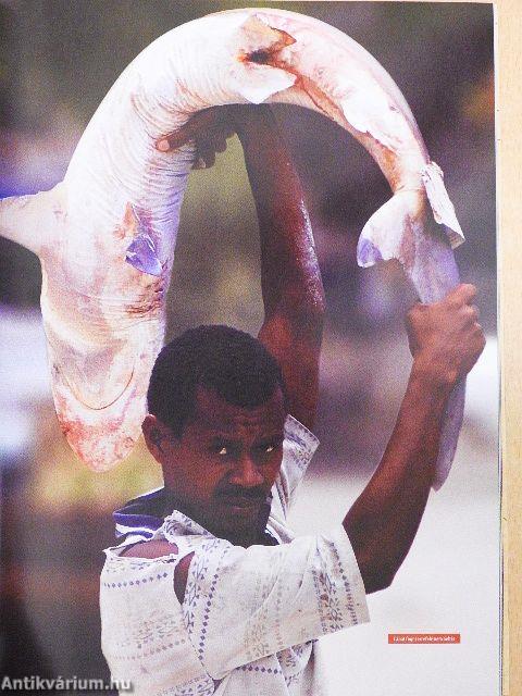 The Explorer Magyarország 2007/4.