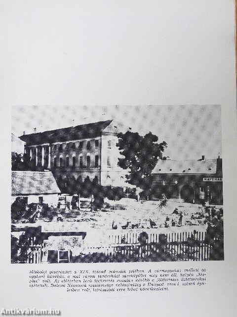 Božena Němcová miskolci levelei