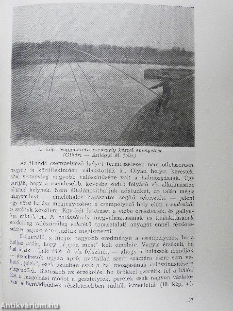 A Hernád halászata