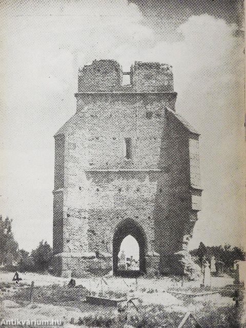 Múzeumi levelek 