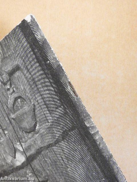 Széchenyi István tiszavölgyi működésének hatása