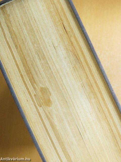 Angol-magyar nagyszótár 1-2.