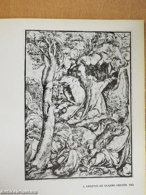 Cranach
