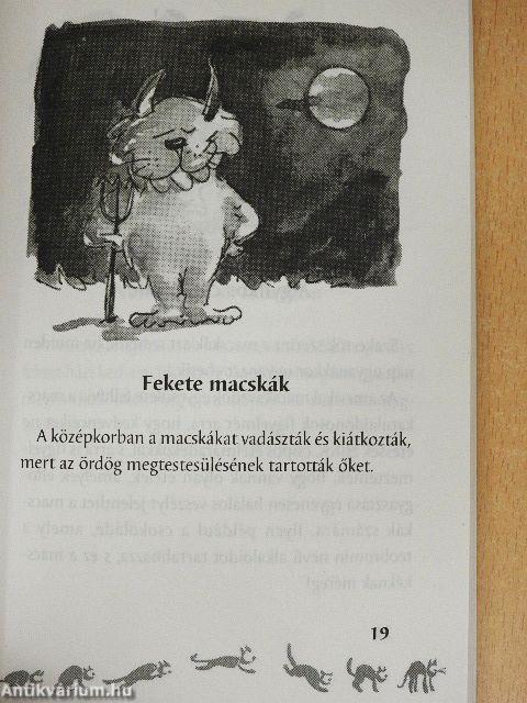 MacskaParádé