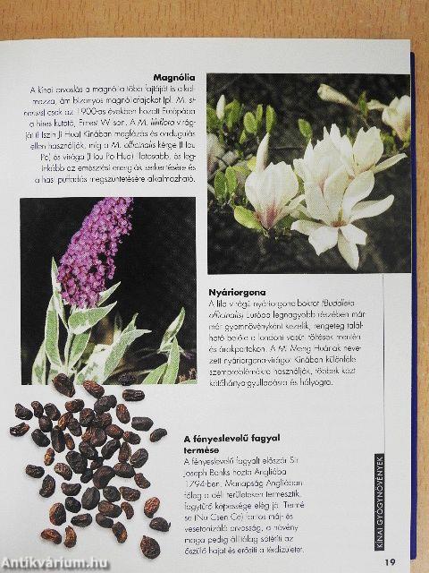 Kínai gyógynövények