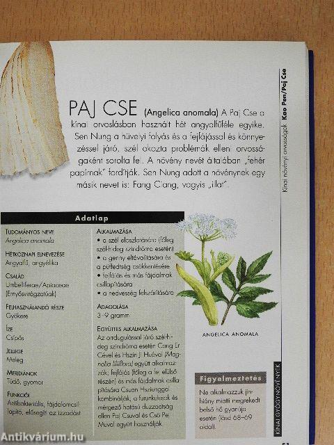 Kínai gyógynövények