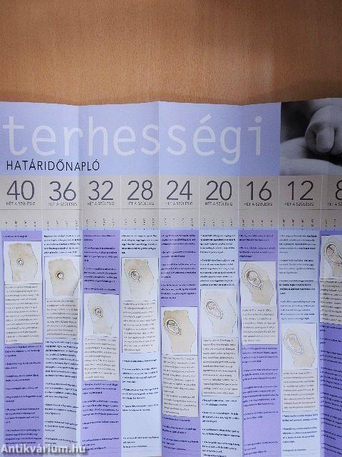 Felkészülés a babavárásra