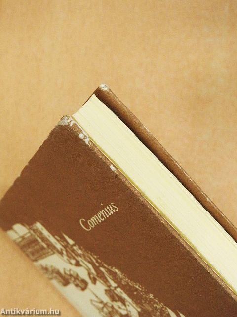 A világ útvesztője és a szív paradicsoma