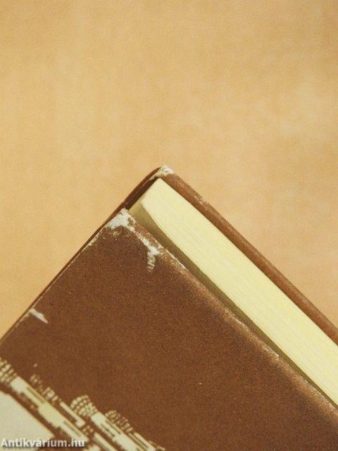 A világ útvesztője és a szív paradicsoma