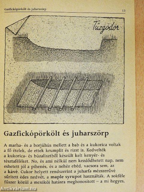Mit ettek a Vadnyugat hősei?