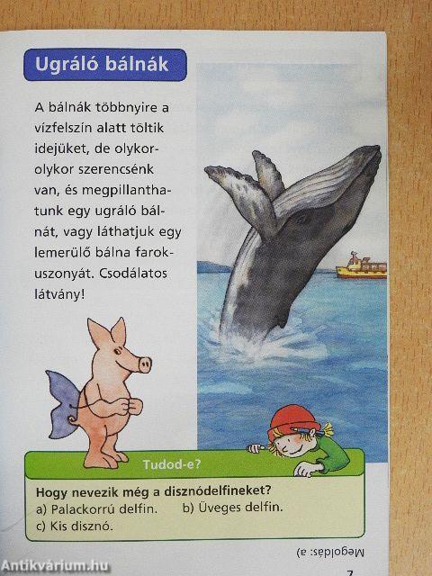 Bálnák és delfinek