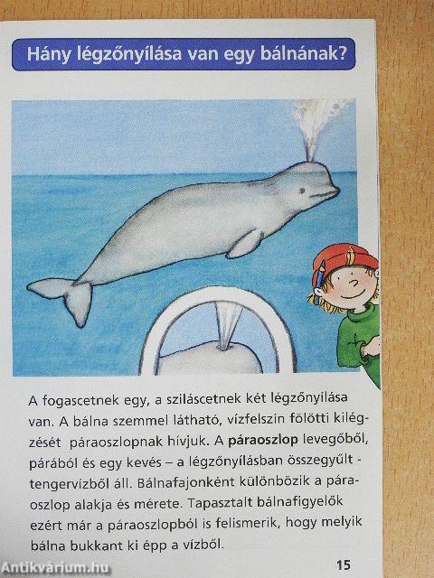 Bálnák és delfinek