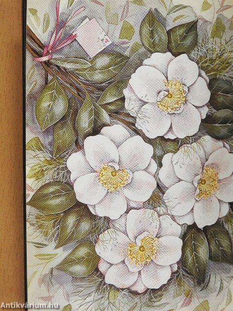 Örök emlékül, sok szeretettel Nővéremnek