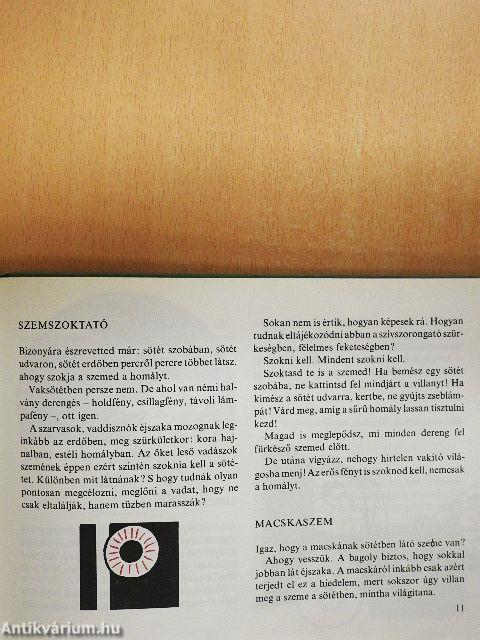 Jó játék a fény, az árnyék