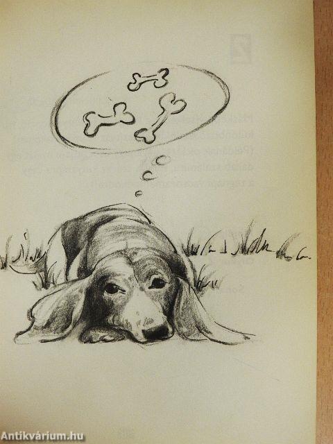 IQ-tesztkönyv kutyáknak